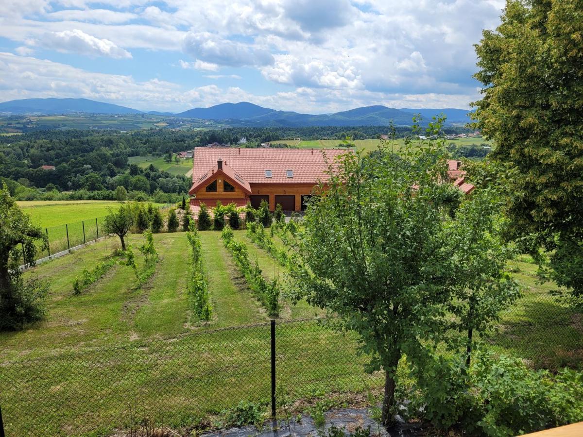 Fantastic View Vineyard Beskid Mountains Gruszow  ภายนอก รูปภาพ