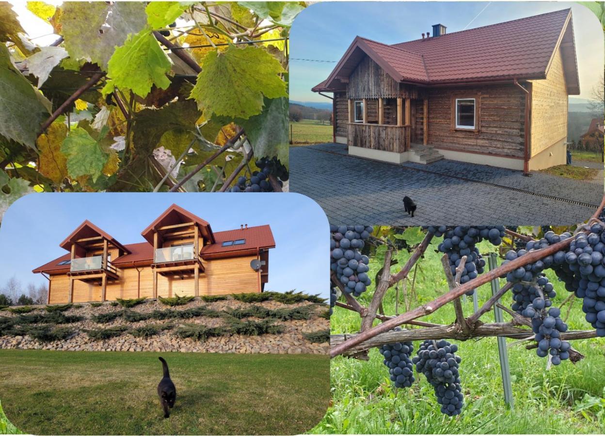 Fantastic View Vineyard Beskid Mountains Gruszow  ภายนอก รูปภาพ