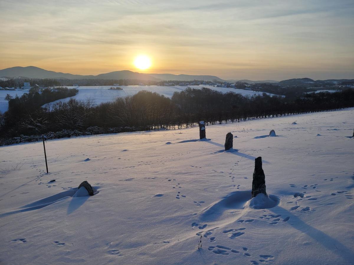 Fantastic View Vineyard Beskid Mountains Gruszow  ภายนอก รูปภาพ