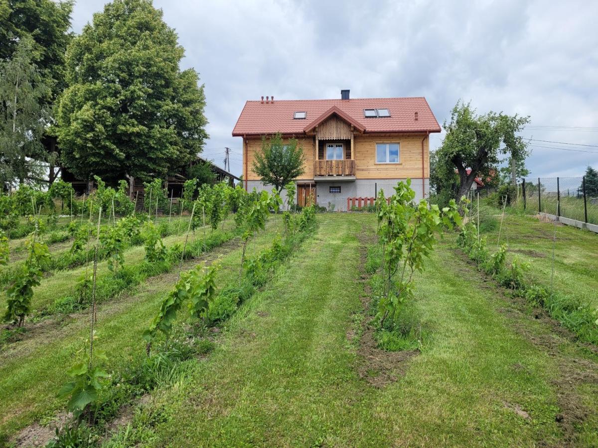 Fantastic View Vineyard Beskid Mountains Gruszow  ภายนอก รูปภาพ